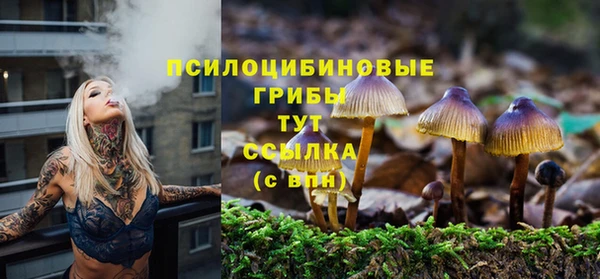 кристаллы Горнозаводск